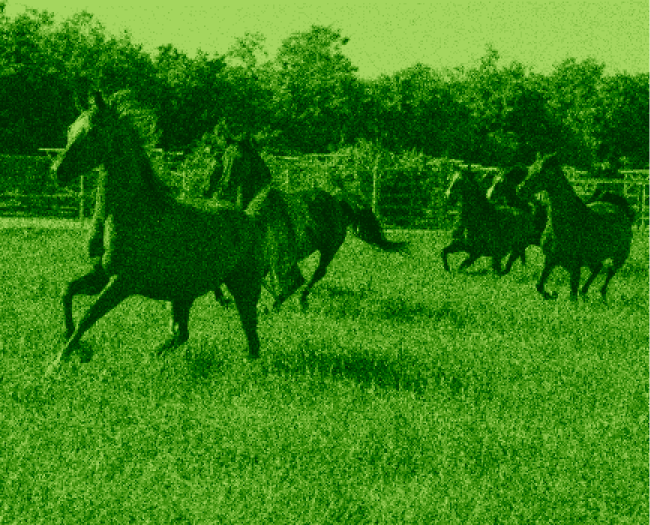 Green overlay