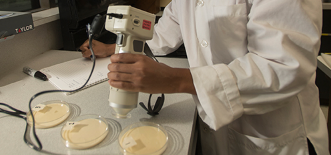 Lab equipment maaking synthesized food.